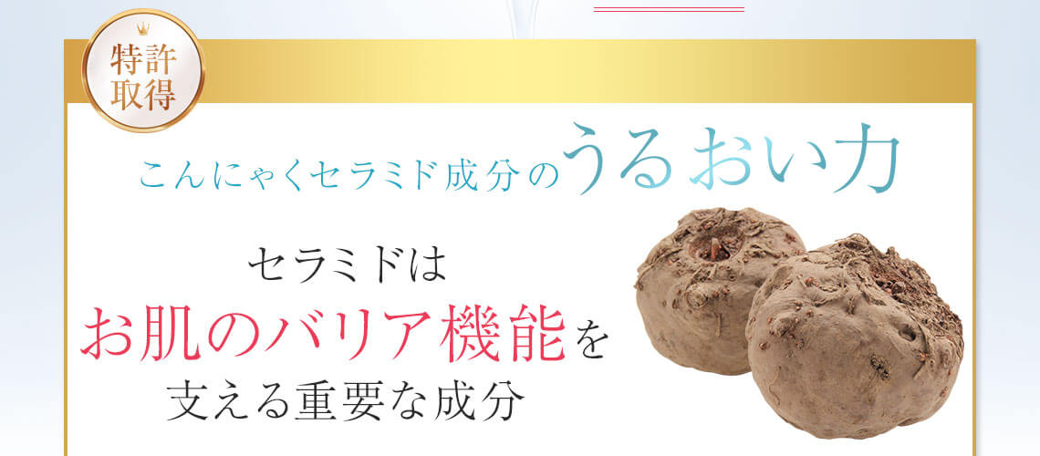 特許取得 こんにゃくセラミドのうるおい力