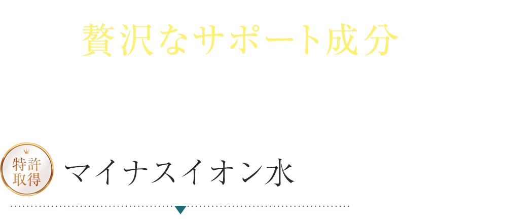 贅沢なサポート成分でうるおいを満たして整える 特許取得マイナスイオン水