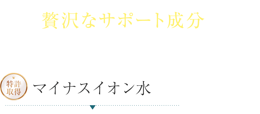 贅沢なサポート成分でうるおいを満たして整える　特許取得マイナスイオン水