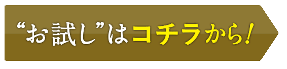 お試しはコチラから！