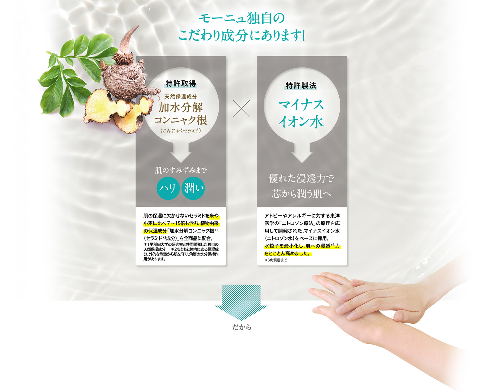 モーニュ独自のこだわり成分にあります！