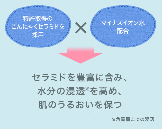  セラミドを豊富に含み、水分の浸透を高め、肌のうるおいを保つ