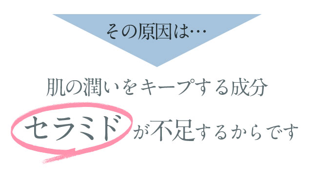 その原因は・・・肌の潤いをキープする成分セラミドが不足するからです