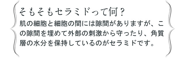 そもそもセラミドって何？肌の細胞と細胞の間には隙間がありますが、この隙間を埋めて外部の刺激から守ったり、角質層の水分を保持しているのがセラミドです。