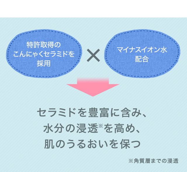 セラミドを豊富に含み、水分の浸透を高め、肌のうるおいを保つ