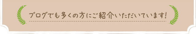 ブログでも多くの方にご紹介いただいています！