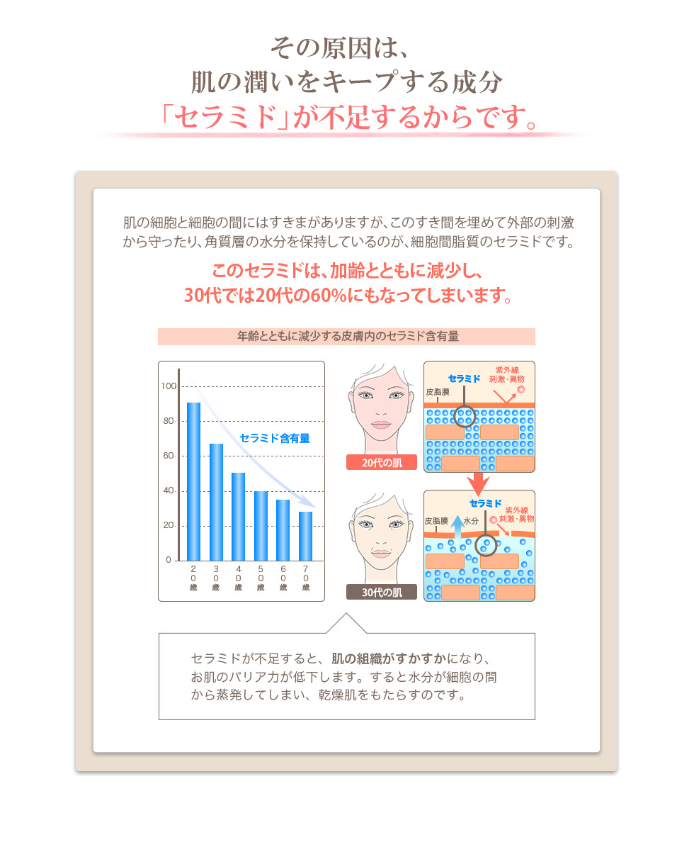 ̌́ȀL[v鐬@Z~hs邩łB