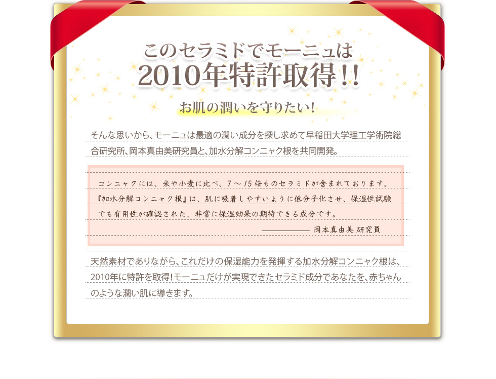 ̃Z~hŃ[j2010N擾II